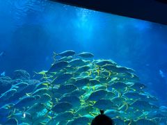 -海合安青岛极地海洋公园