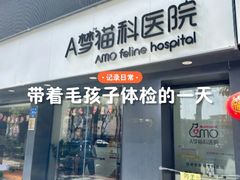 -御宝贝·A梦猫科宠物医院(国际猫友好医院)
