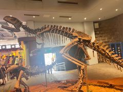 -自贡恐龙博物馆