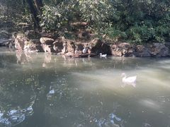 -兰亭风景区