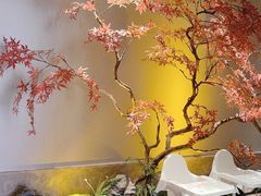 -董家大院·京味家常菜(朝丰家园店)
