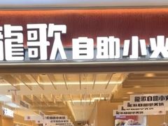 -龍歌自助小火锅(崂山丽达店)
