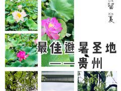 -贵阳市花溪国家城市湿地公园