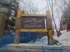 -汉拿山温泉度假酒店