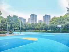 -重庆彩云湖湿地公园