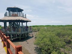 -北海金海湾红树林生态旅游区