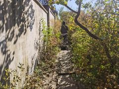 -北京十三陵国家森林公园蟒山景区