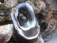 -七裕庄(凯旋南路店)