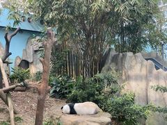 -河川生态园