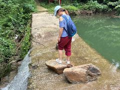 -素山寺森林公园