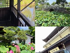 -无锡蠡湖国家湿地公园-蠡园
