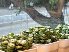 -拾光影林·咖啡·蛋包饭(东葛店)