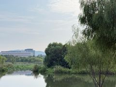 -长广溪湿地公园