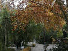 -西安市长乐公园