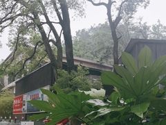 -天怡·鱼工厂(梅溪湖店)