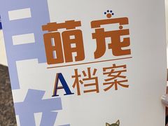 -申普宠物医院·心脏介入·心血管微创(总院)