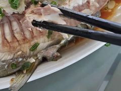 -七鲜渔港美食餐厅(巽寮湾海景店)