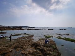 -青岛第二海水浴场