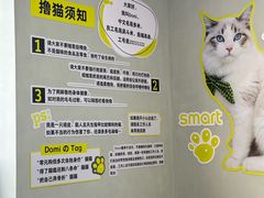 -上海浦东smart汽车全功能店(金桥店)
