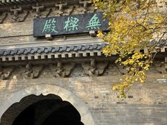 -灵谷景区