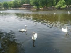 -石家庄市动物园