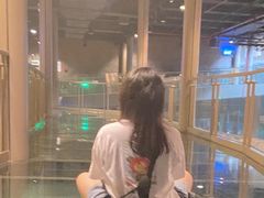 -元代水闸遗址博物馆