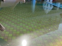 -南宫温泉水世界