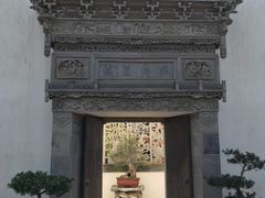 -金庸书院