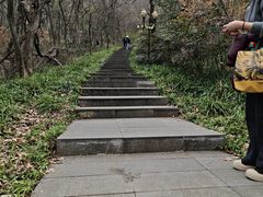 -句容茅山景区
