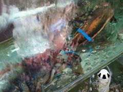 -四海鲜渔家菜(黄金海岸店)