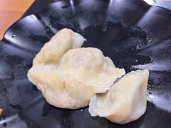 吃完的饺子-果松木炭酸菜铜火锅·外婆参鸡汤