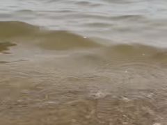 -碧海金沙