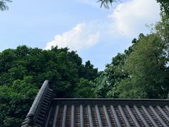 -广州神农草堂中医药博物馆