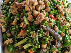 -铁山坪森林公园