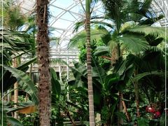 -北京植物园-展览温室