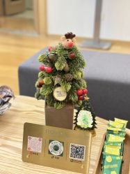 -ROYEA茹彦祛痘·问题肌肤修护中心