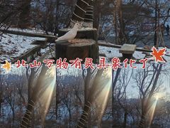 -北山公园