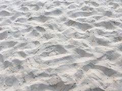 -白沙滩