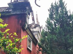 -青芝山风景名胜区