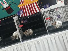 -新田360广场(上海华侨城店)