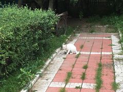 -白渔泡湿地公园