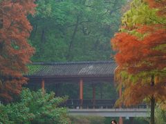 -重庆彩云湖湿地公园
