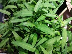 -老阿爸江浙土菜(前进东路店)