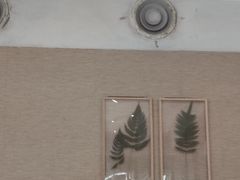 -小泉居(水坑尾店 )