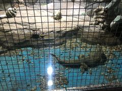 -苏州海洋馆