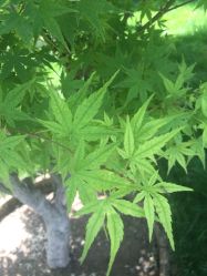 -大望京儿童游乐场