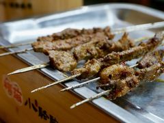 羊肉串-福苗小骆驼烧烤(莲湖路店)