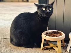 -转山咖啡(松柏社区店)