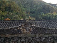 -杨家堂村