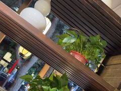 -金枝玉叶上海人家食府(三里河店)